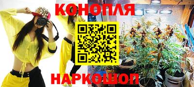 гашик Можга
